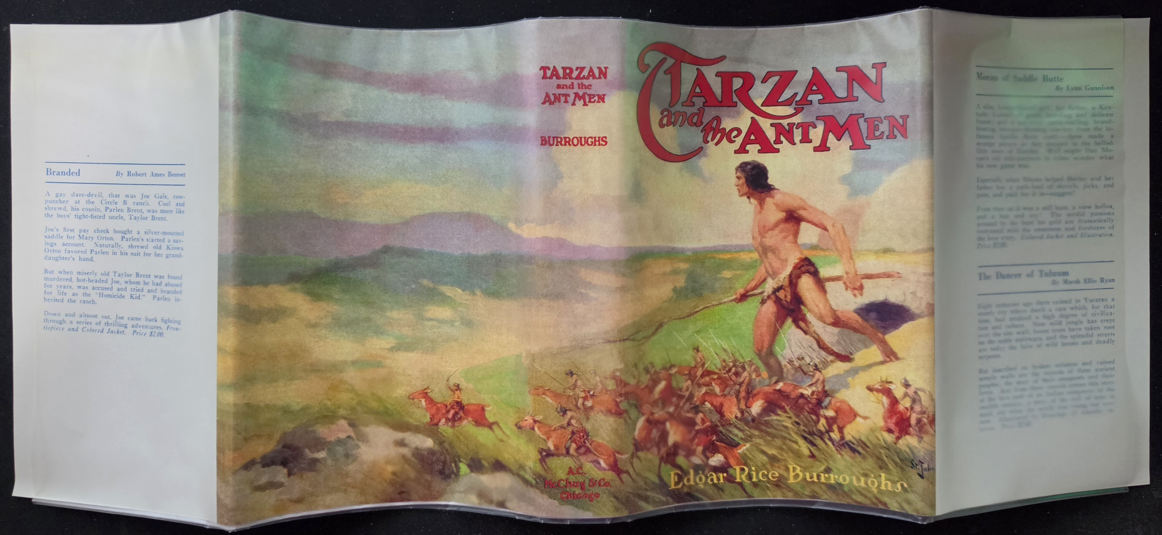 Tarzan and the Ant Men dust jacket